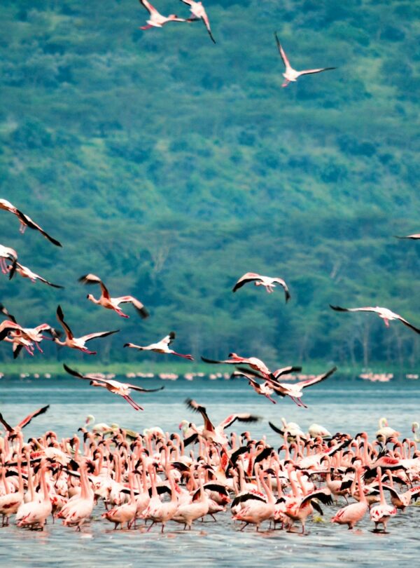 bibhash-polygon-cafe-banerjee-3QPNiZ_Nqjs-unsplash