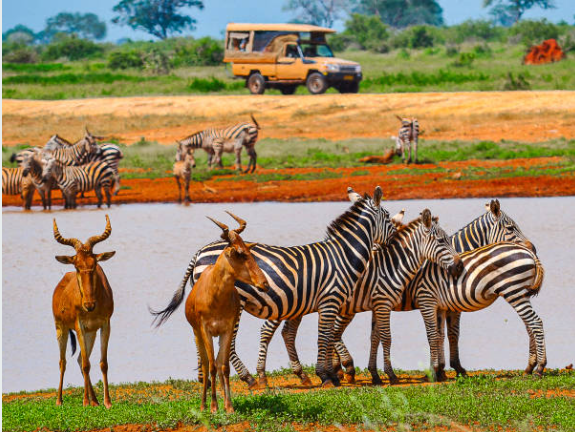 tsavo-east-national-park